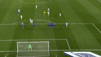 马背上的共生：马术里的优雅与默契